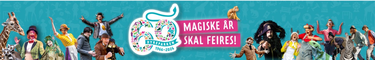 Kampanjebanner på Auksjonen.no